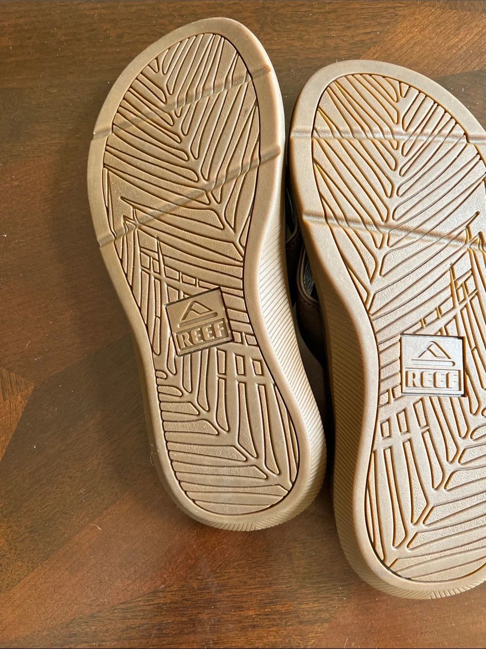 Reef classic brown